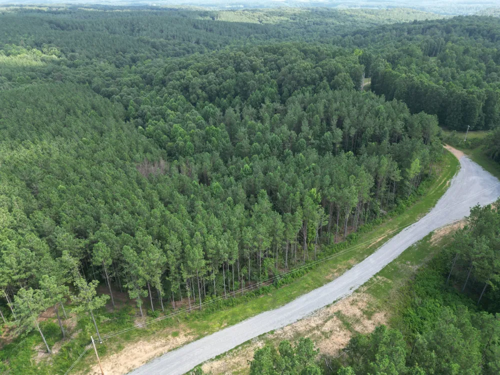 153 Beach Rd Hohenwald, TN 38462