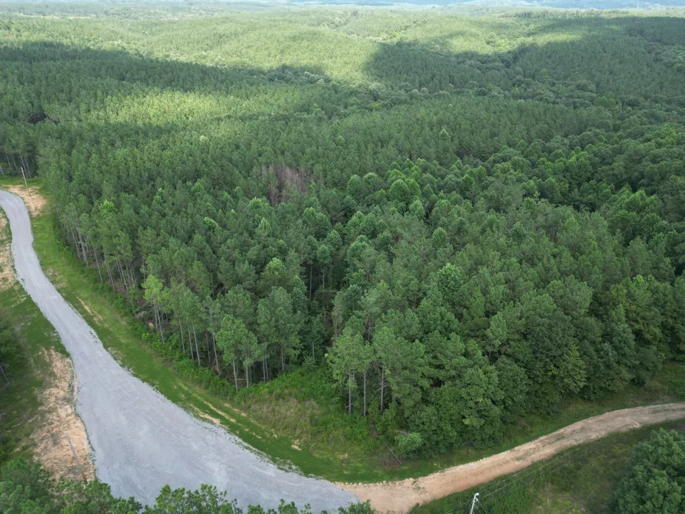 153 Beach Rd Hohenwald, TN 38462