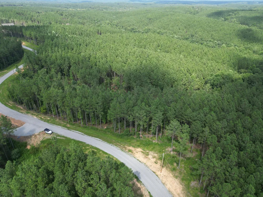 153 Beach Rd Hohenwald, TN 38462