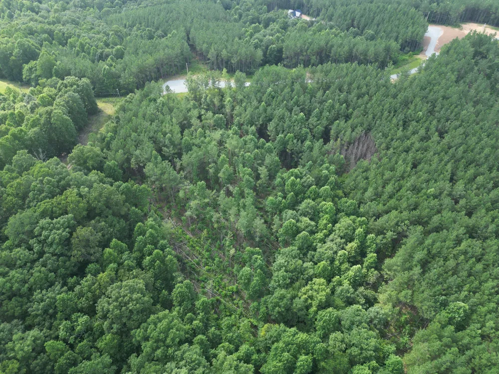153 Beach Rd Hohenwald, TN 38462