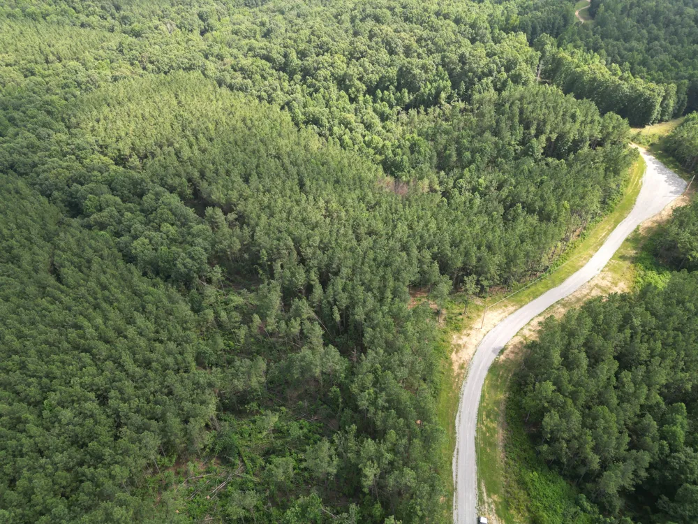 153 Beach Rd Hohenwald, TN 38462