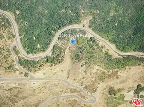 22030 Saddlepeak