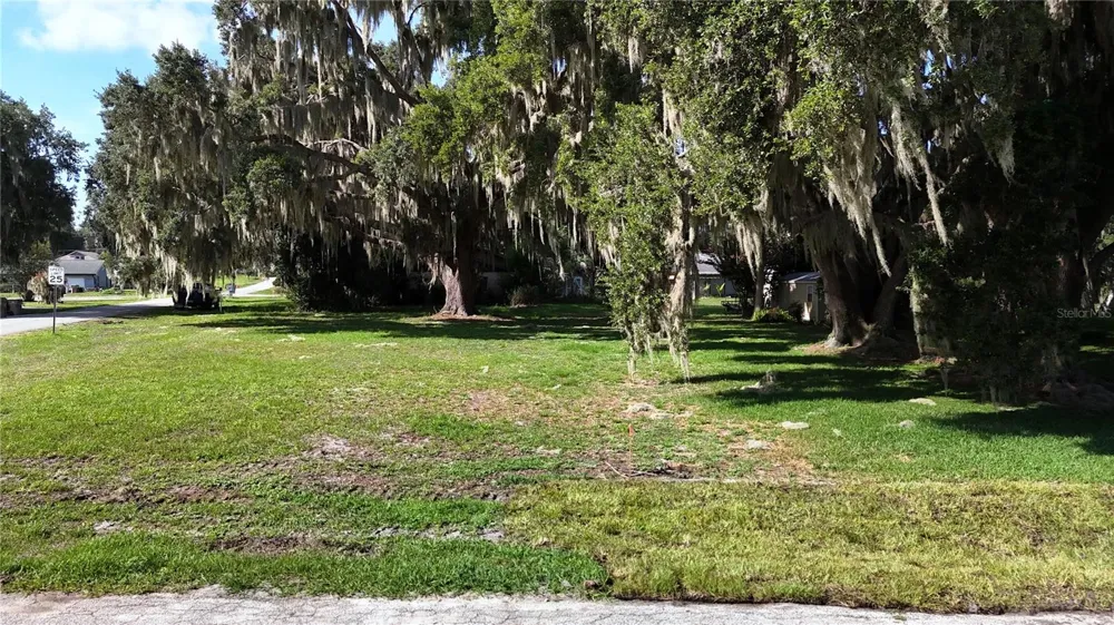 LAKESIDE DRIVE Yalaha, FL 34797