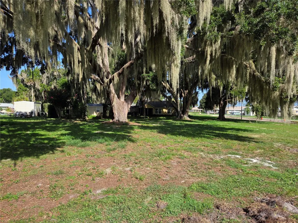 LAKESIDE DRIVE Yalaha, FL 34797