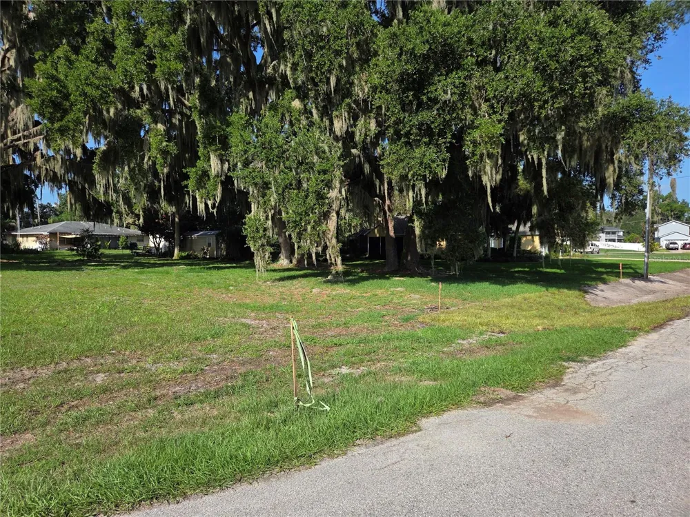 LAKESIDE DRIVE Yalaha, FL 34797