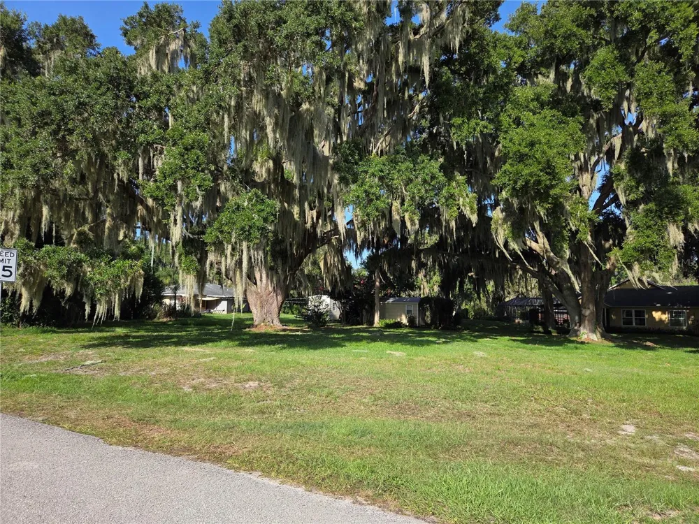 LAKESIDE DRIVE Yalaha, FL 34797