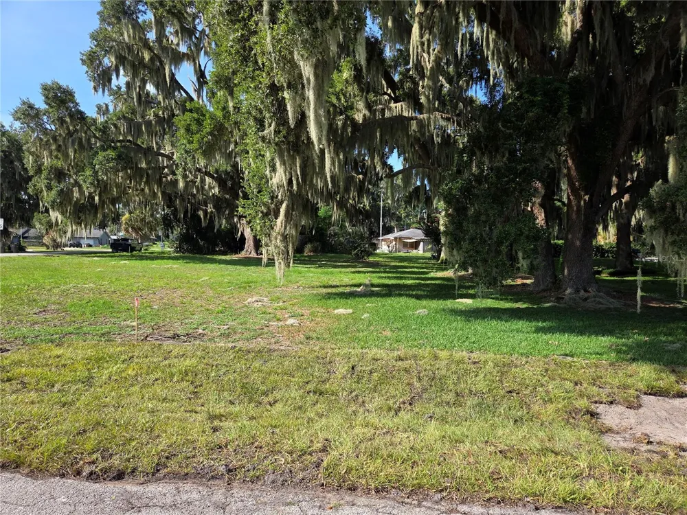 LAKESIDE DRIVE Yalaha, FL 34797