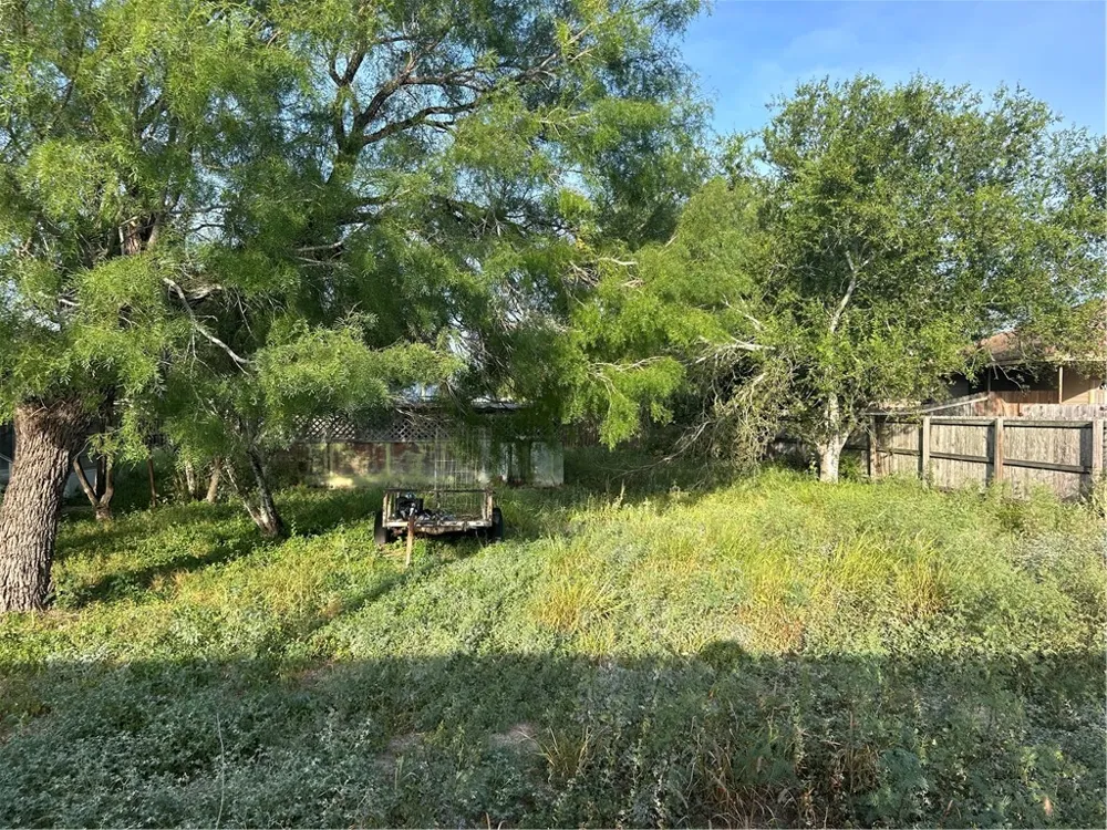 S. Norton Highway Freer, TX 78357