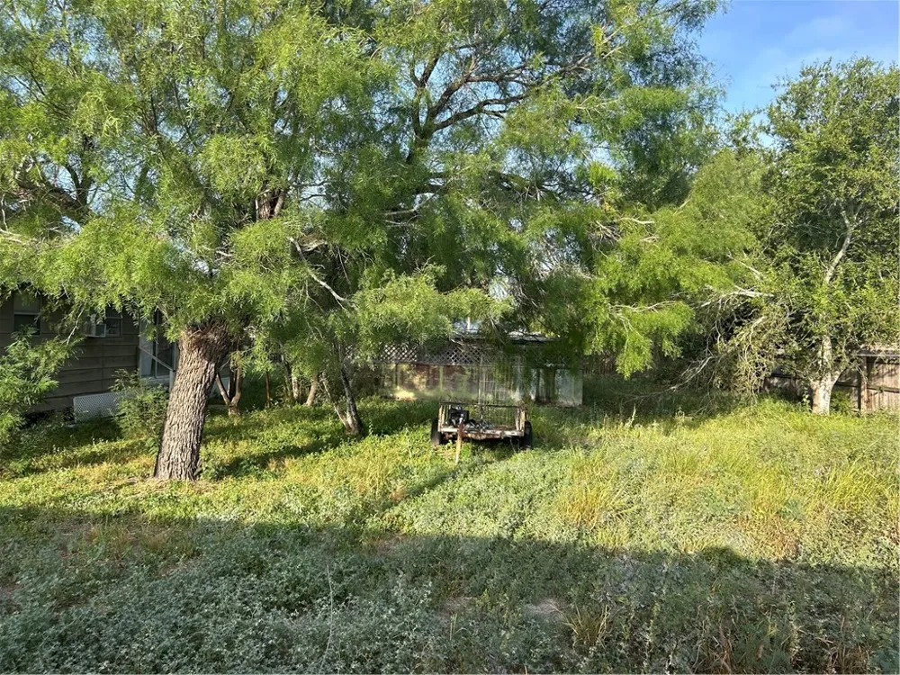 S. Norton Highway Freer, TX 78357