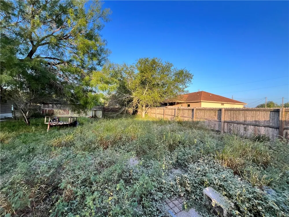 S. Norton Highway Freer, TX 78357