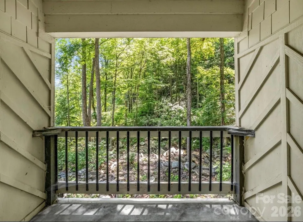 168 Fall Creek Drive Chimney Rock, NC 28720
