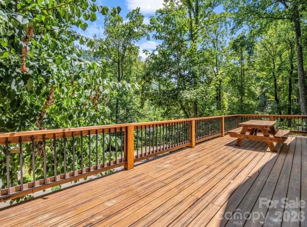 168 Fall Creek Drive Chimney Rock, NC 28720