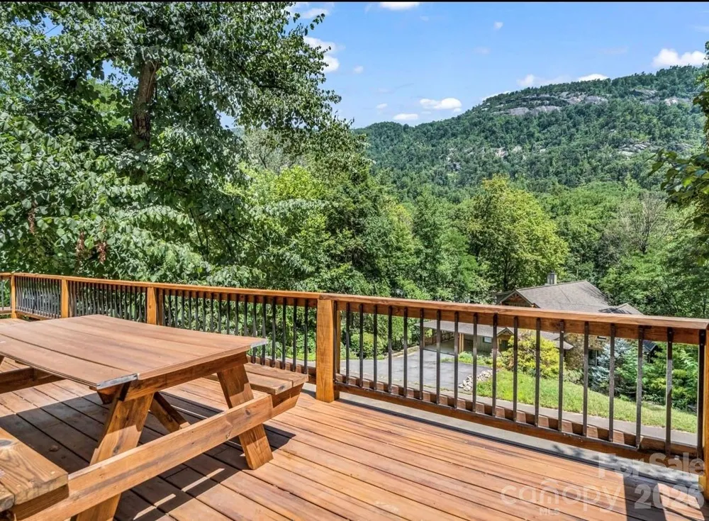 168 Fall Creek Drive Chimney Rock, NC 28720