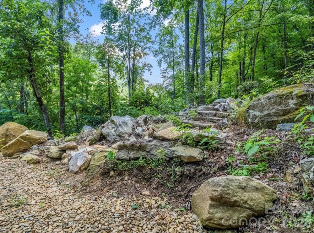 168 Fall Creek Drive Chimney Rock, NC 28720