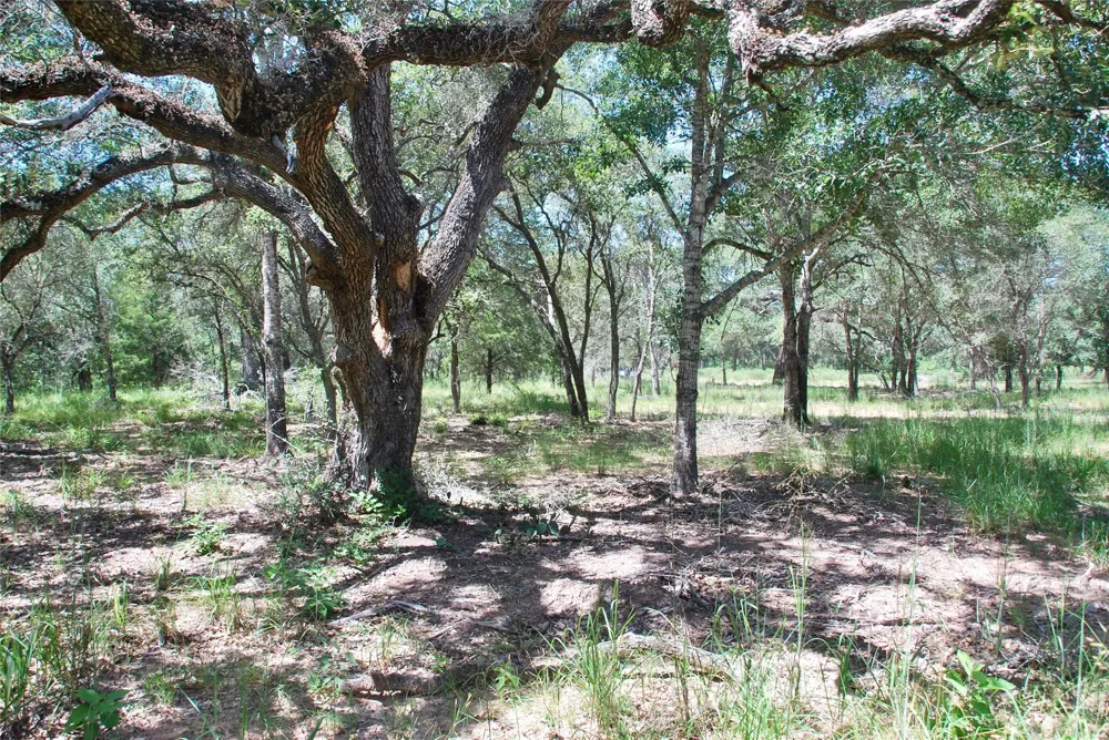 182 County Road 123f Hallettsville, TX 77964