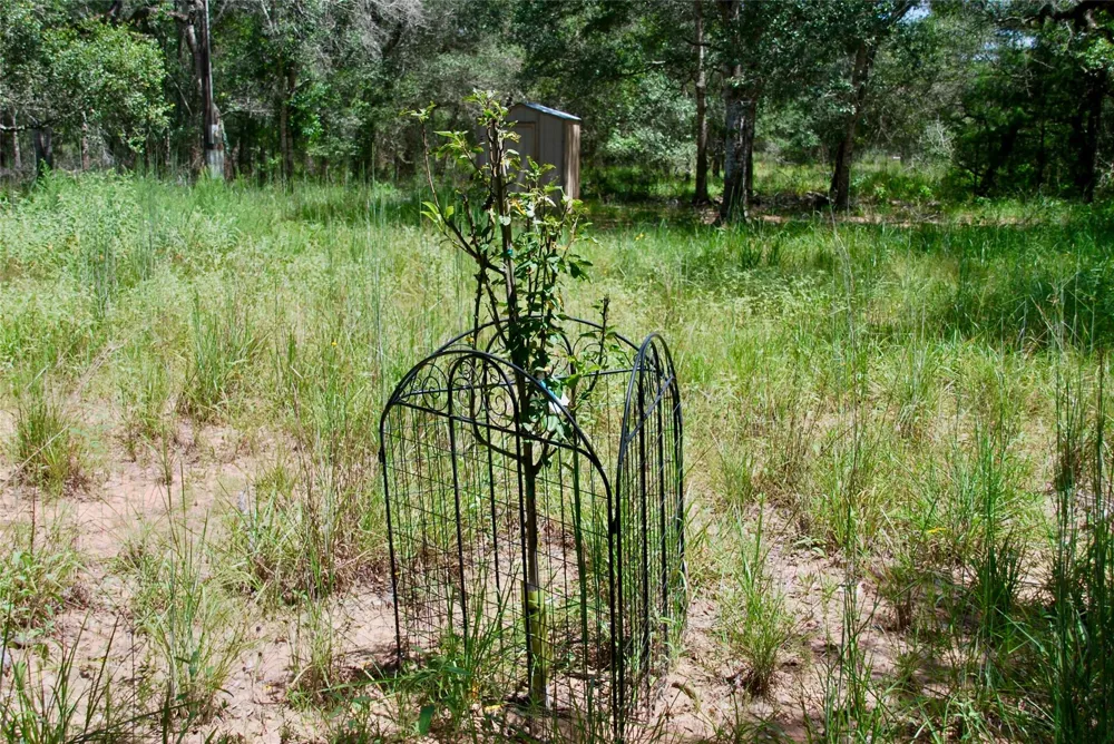 182 County Road 123f Hallettsville, TX 77964