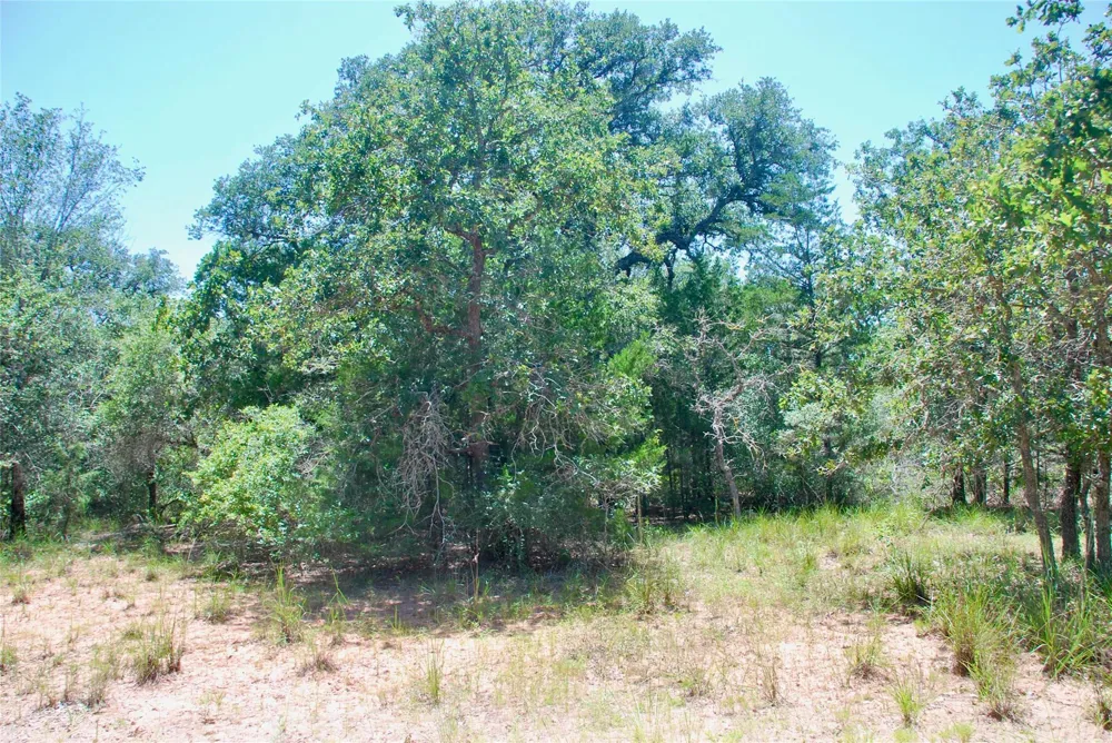 182 County Road 123f Hallettsville, TX 77964