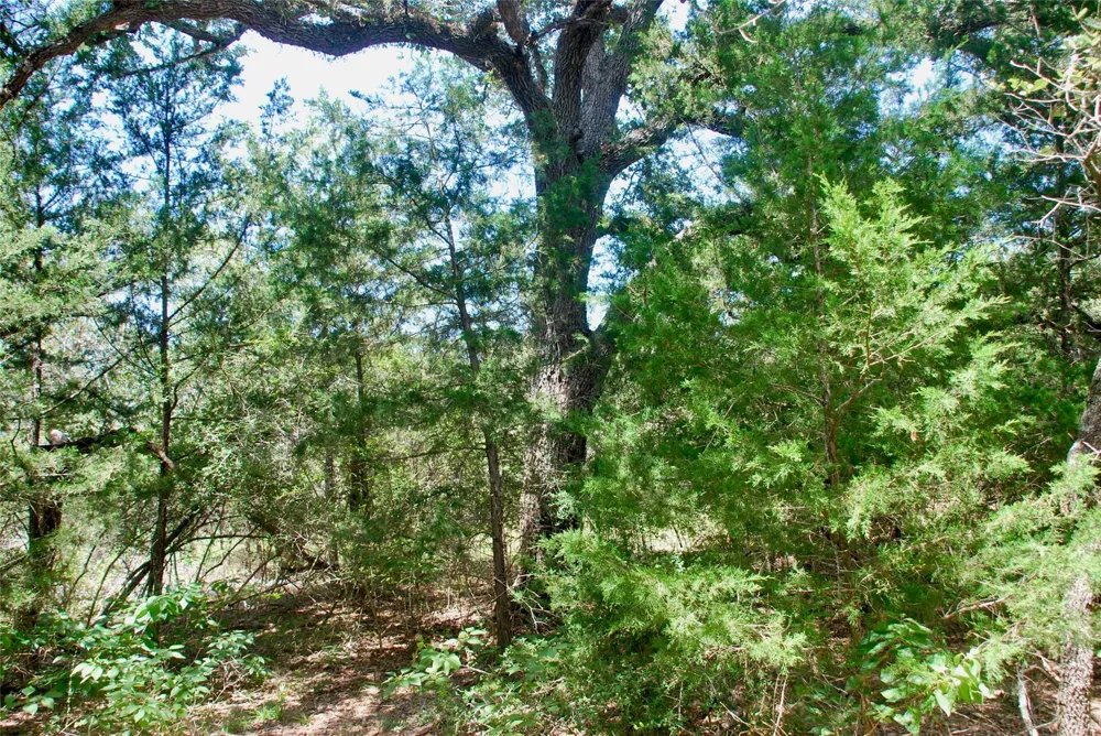 182 County Road 123f Hallettsville, TX 77964