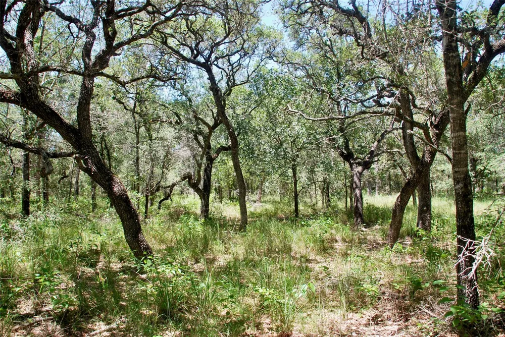182 County Road 123f Hallettsville, TX 77964