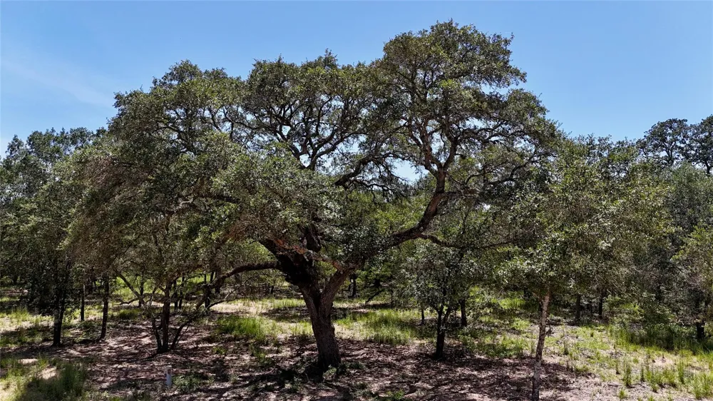 182 County Road 123f Hallettsville, TX 77964
