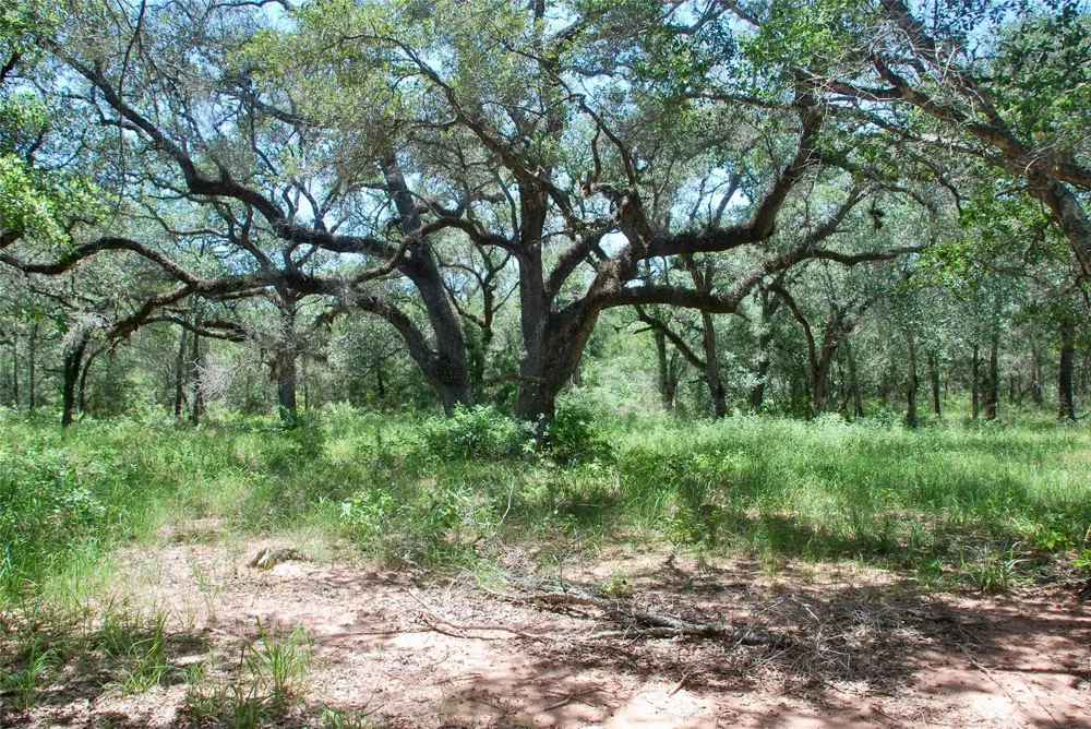 182 County Road 123f Hallettsville, TX 77964
