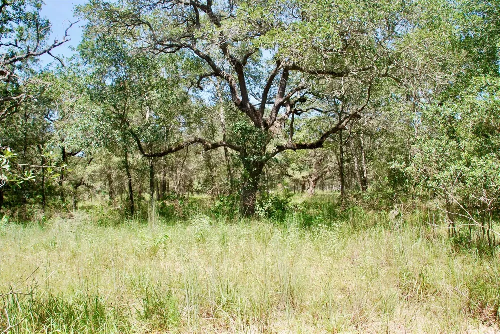 182 County Road 123f Hallettsville, TX 77964
