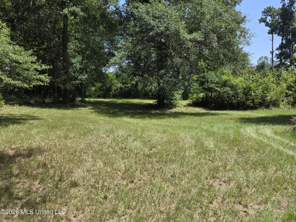 1041 3rd Street Wesson, MS 39191