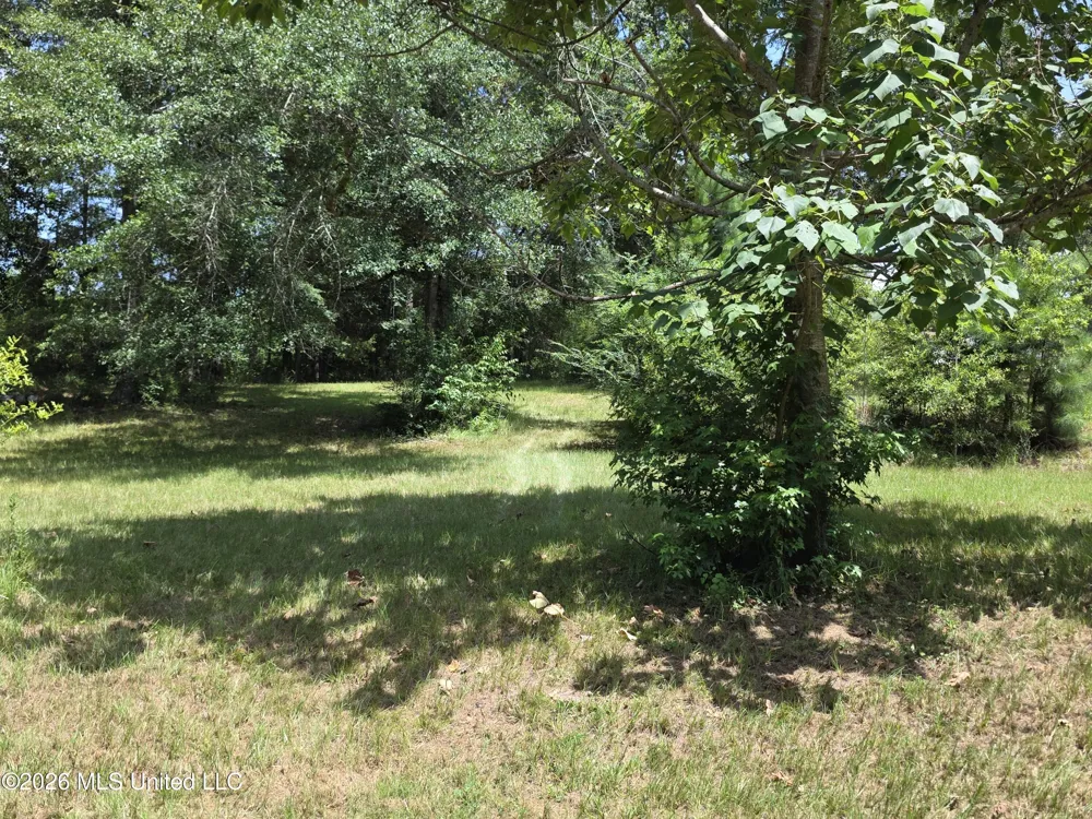 1041 3rd Street Wesson, MS 39191