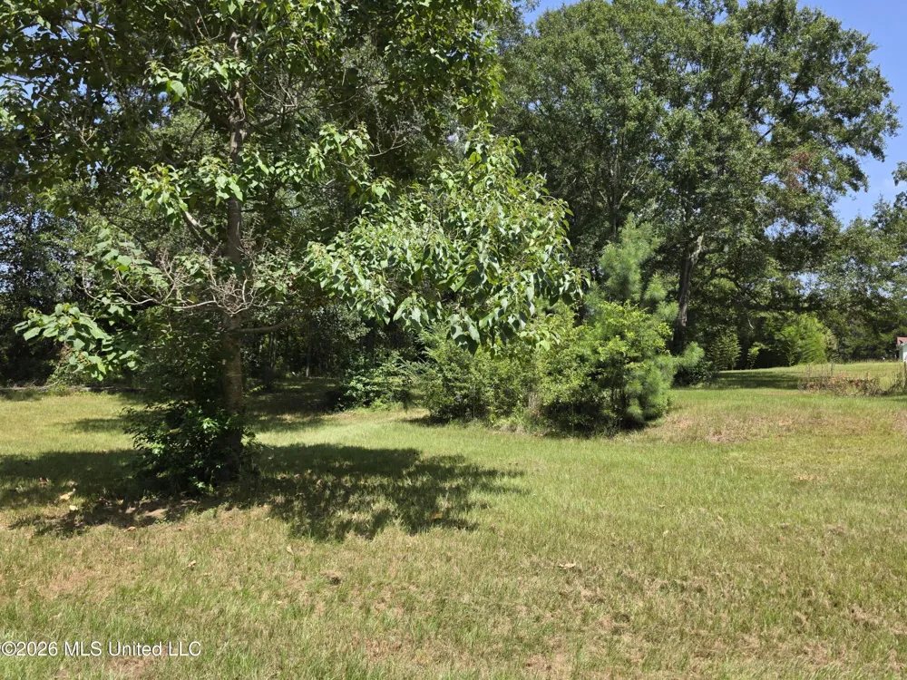 1041 3rd Street Wesson, MS 39191