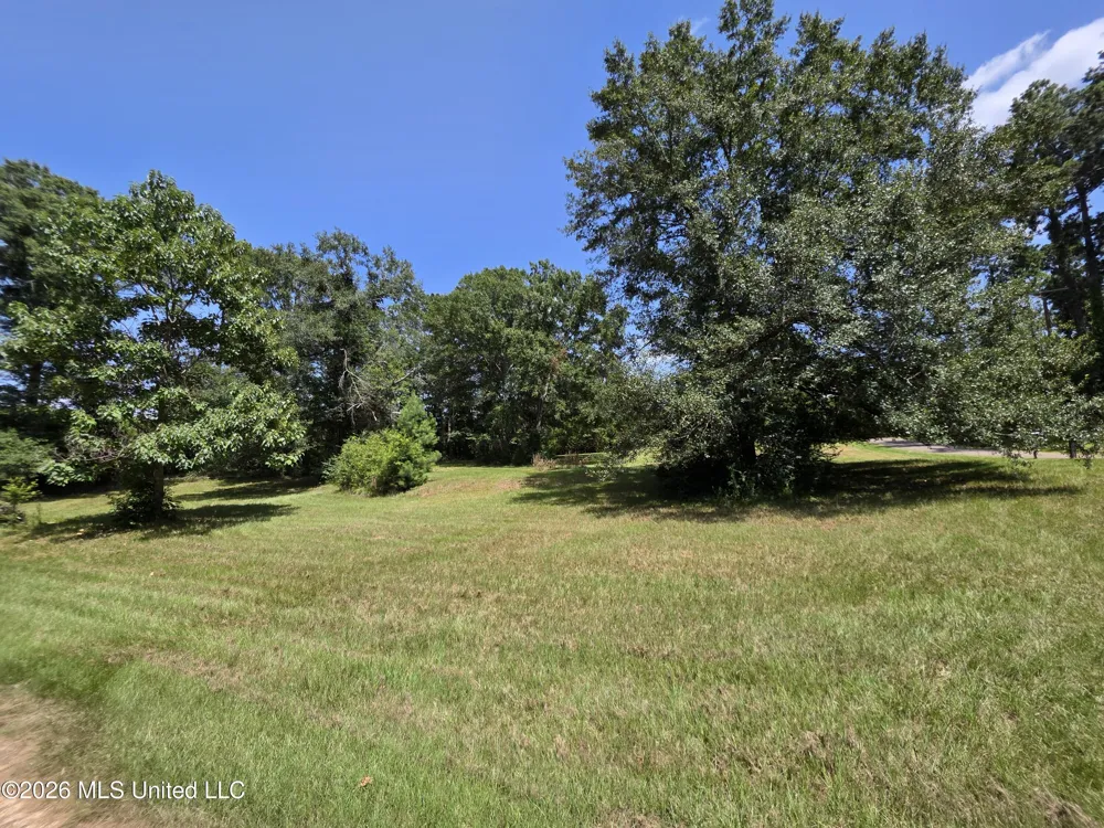 1041 3rd Street Wesson, MS 39191