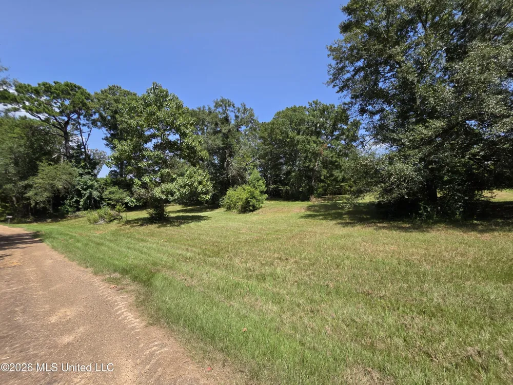 1041 3rd Street Wesson, MS 39191