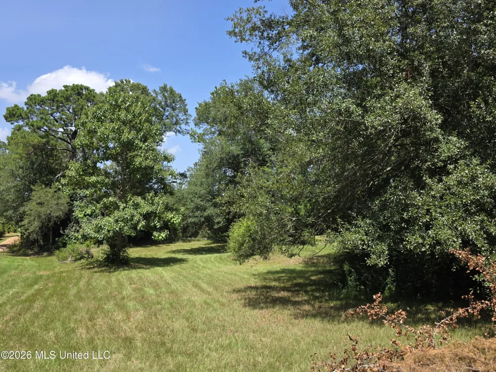 1041 3rd Street Wesson, MS 39191