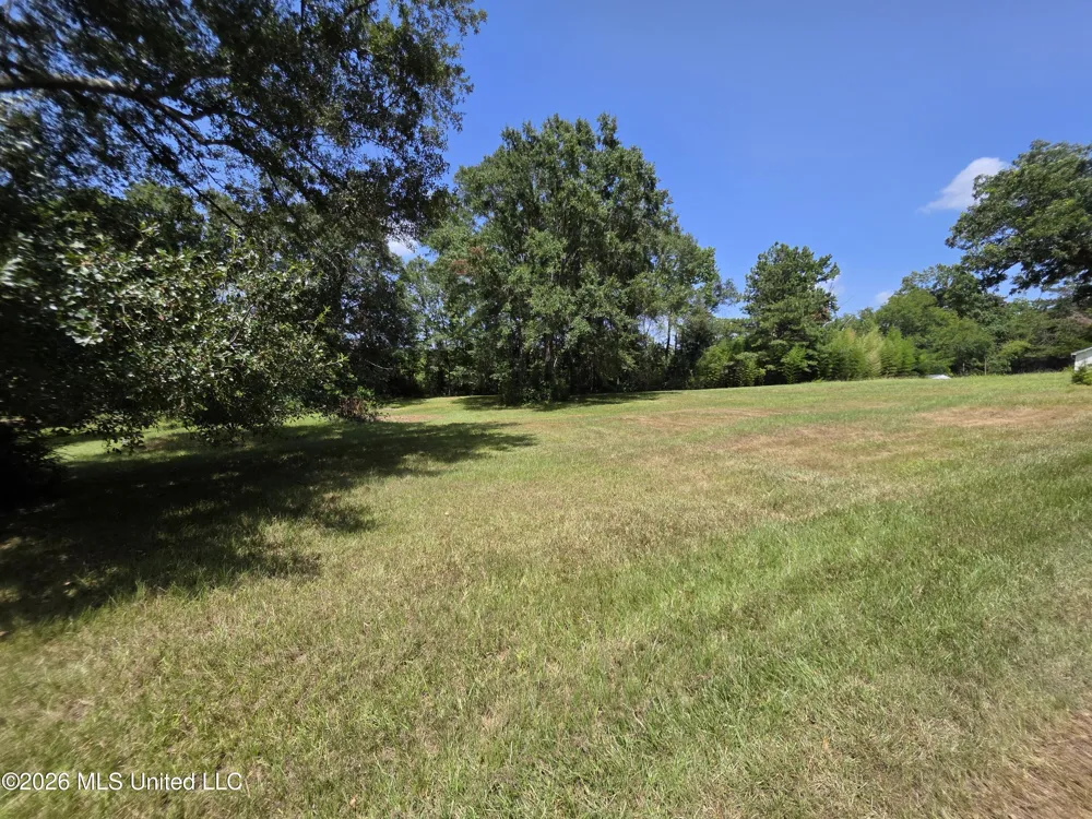 1041 3rd Street Wesson, MS 39191