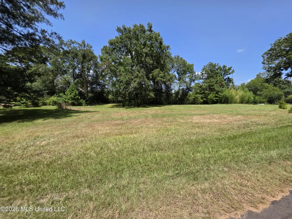 1041 3rd Street Wesson, MS 39191