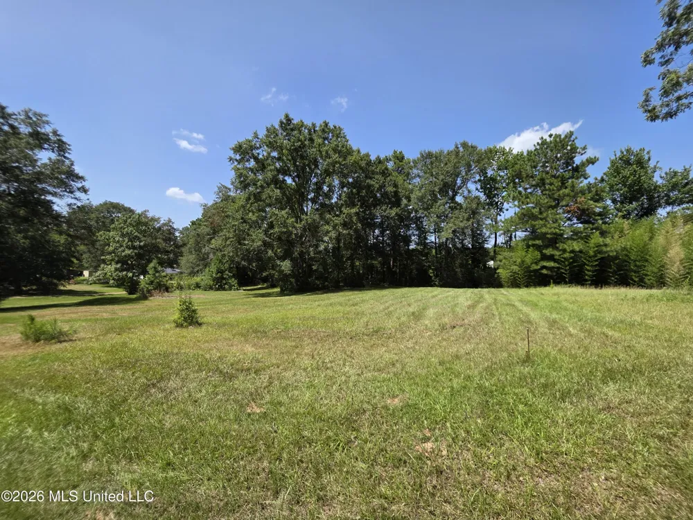 1041 3rd Street Wesson, MS 39191