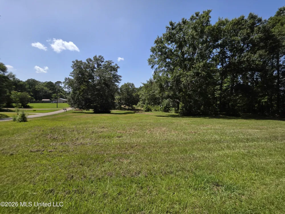 1041 3rd Street Wesson, MS 39191