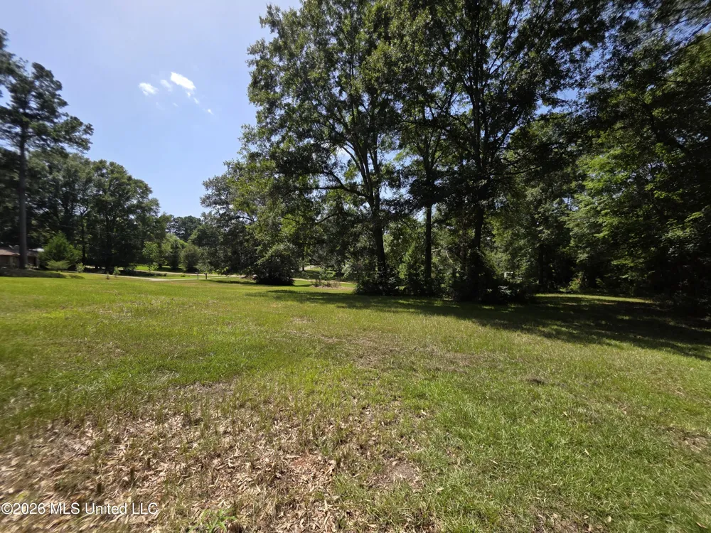 1041 3rd Street Wesson, MS 39191