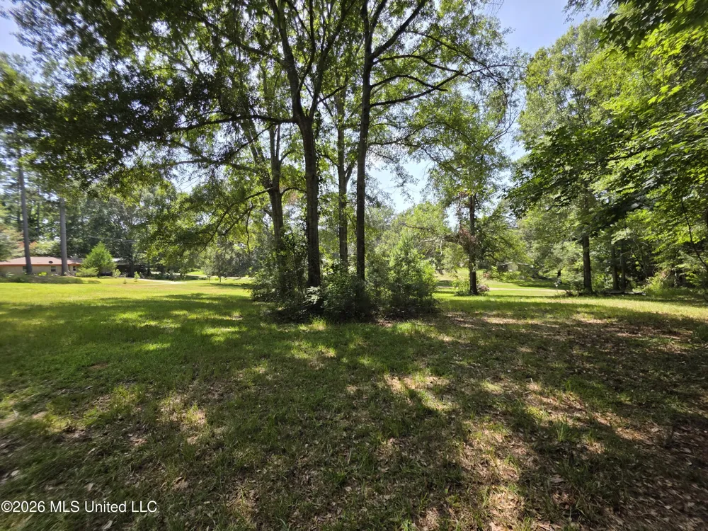 1041 3rd Street Wesson, MS 39191