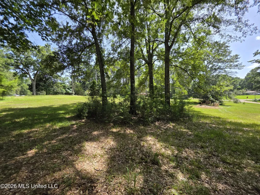 1041 3rd Street Wesson, MS 39191