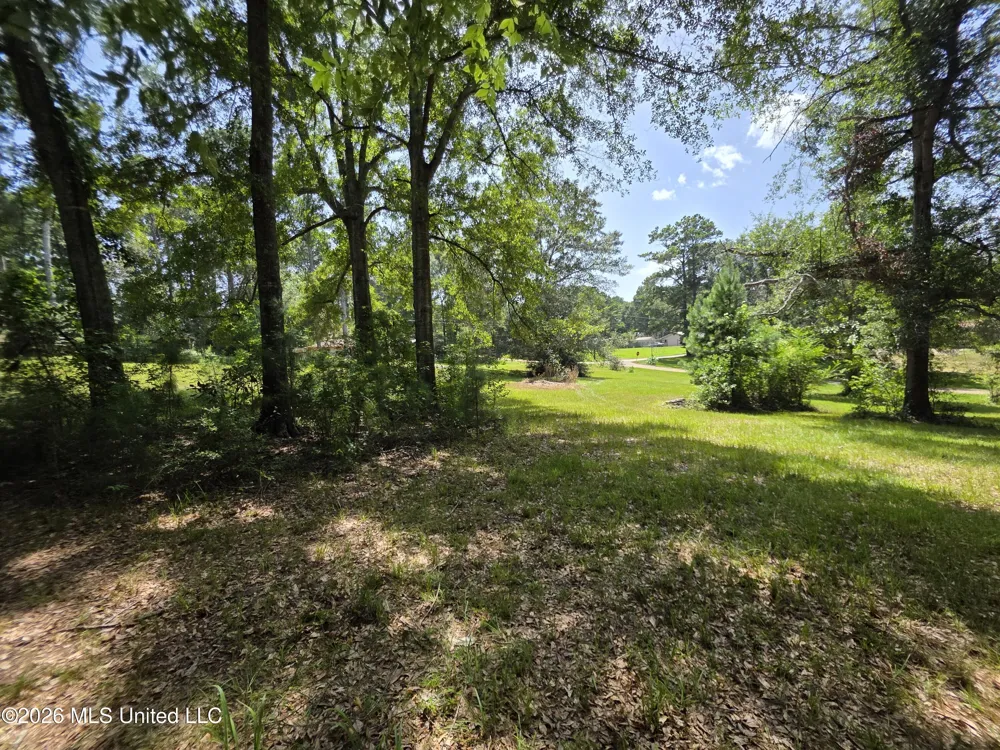 1041 3rd Street Wesson, MS 39191