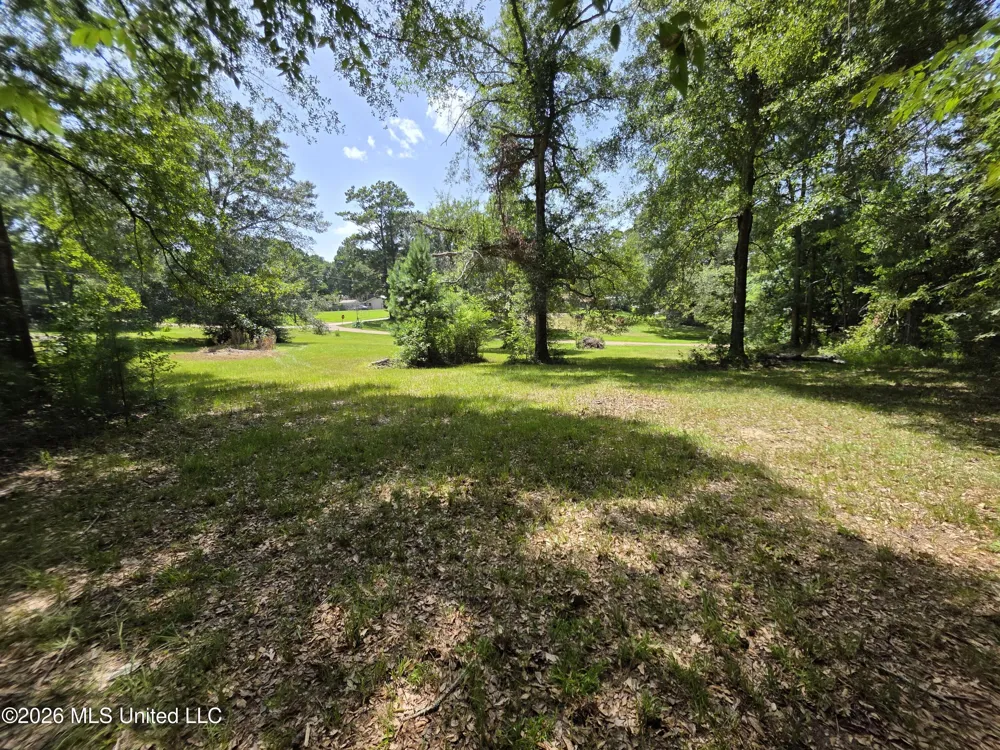 1041 3rd Street Wesson, MS 39191
