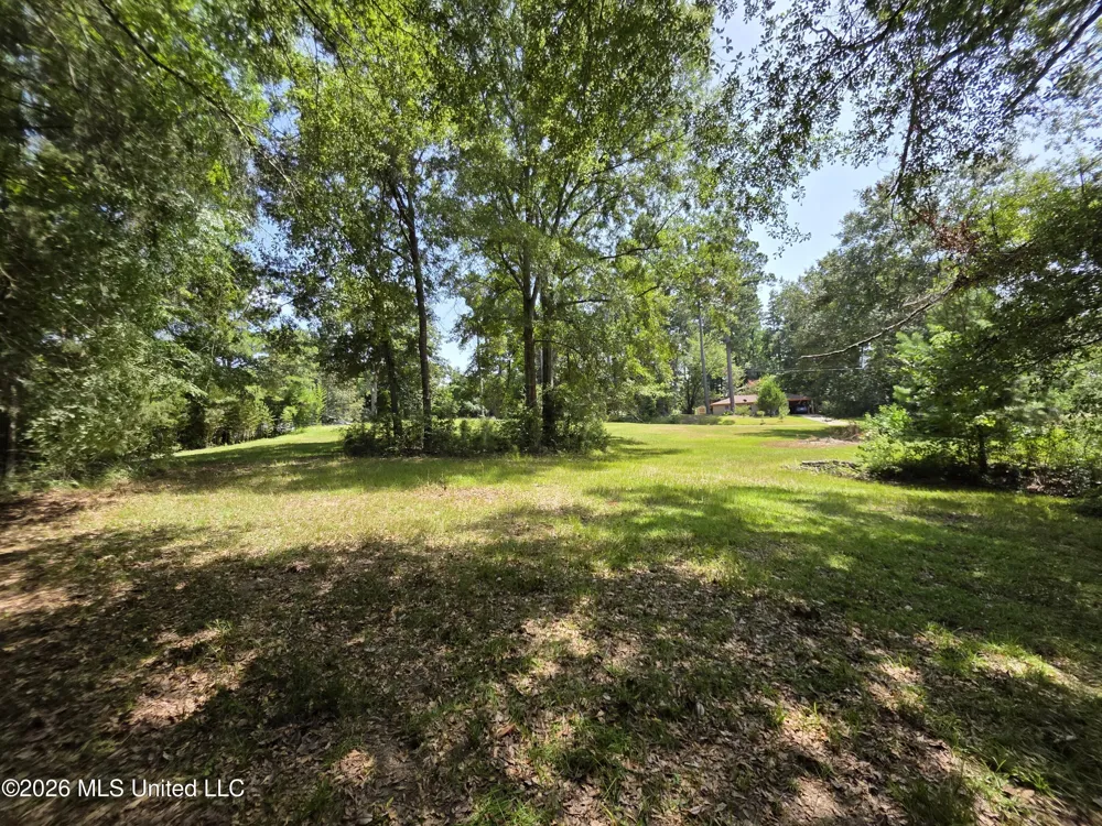 1041 3rd Street Wesson, MS 39191