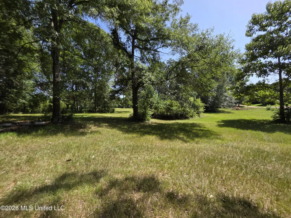 1041 3rd Street Wesson, MS 39191