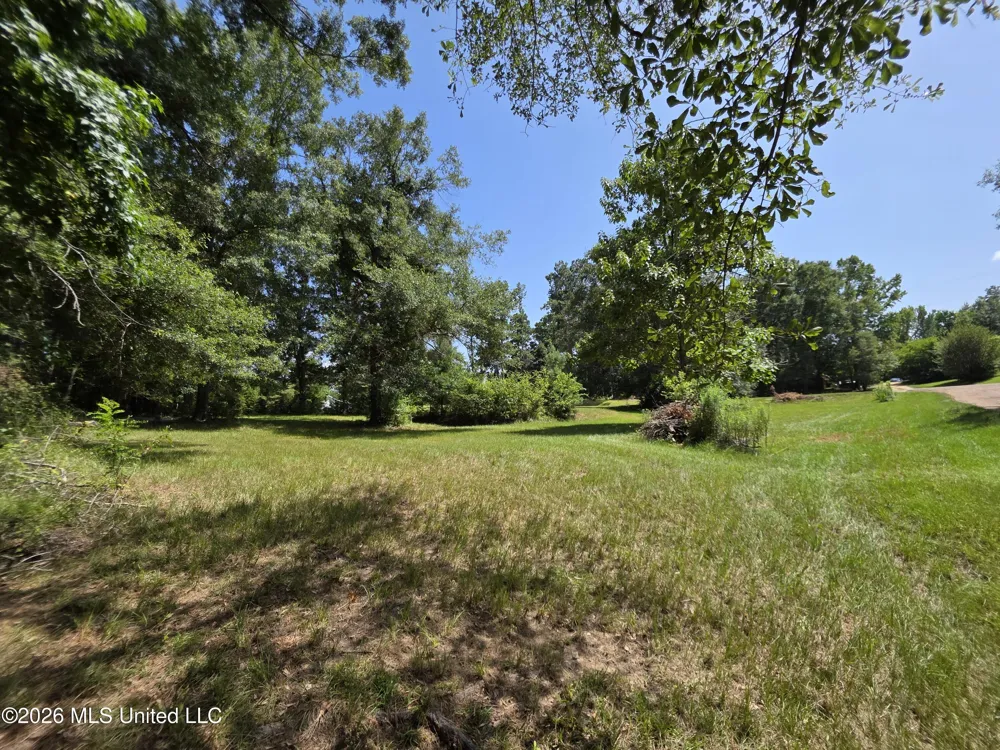 1041 3rd Street Wesson, MS 39191
