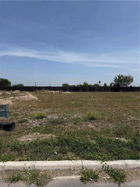 3105 E Zarzamora Avenue Hidalgo, TX 78557