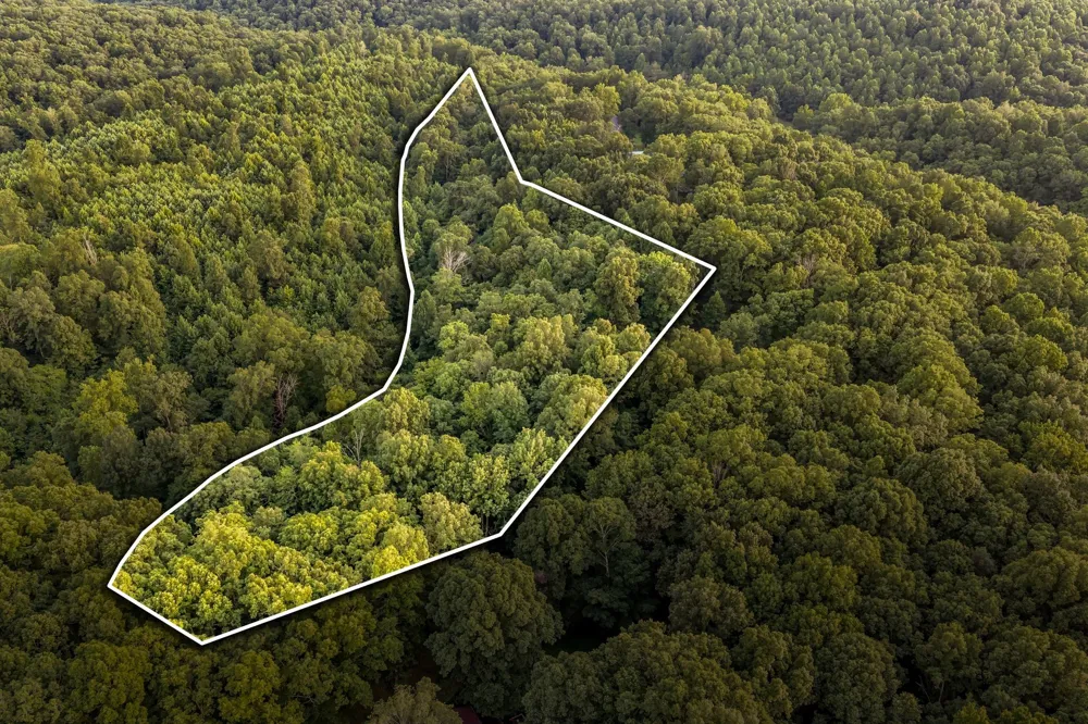 150 Humpty Dumpty Rd White Bluff, TN 37187