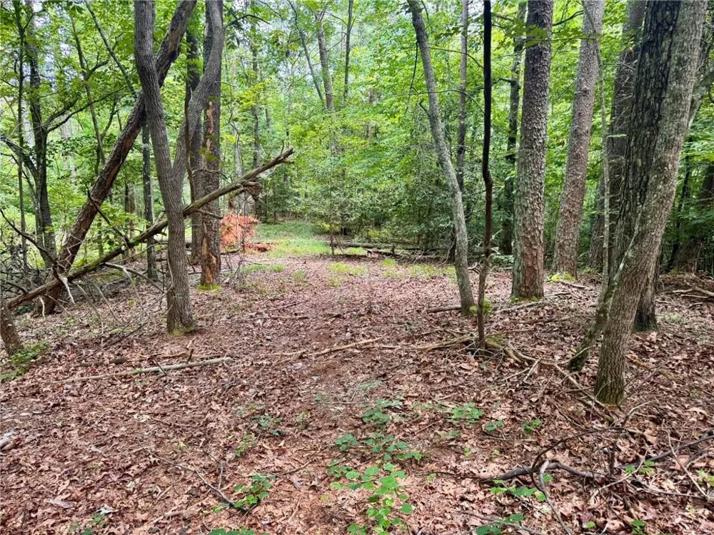 Lot 5 Fowler Creek Drive Cleveland, GA 30528