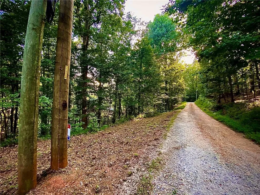 Lot 5 Fowler Creek Drive Cleveland, GA 30528