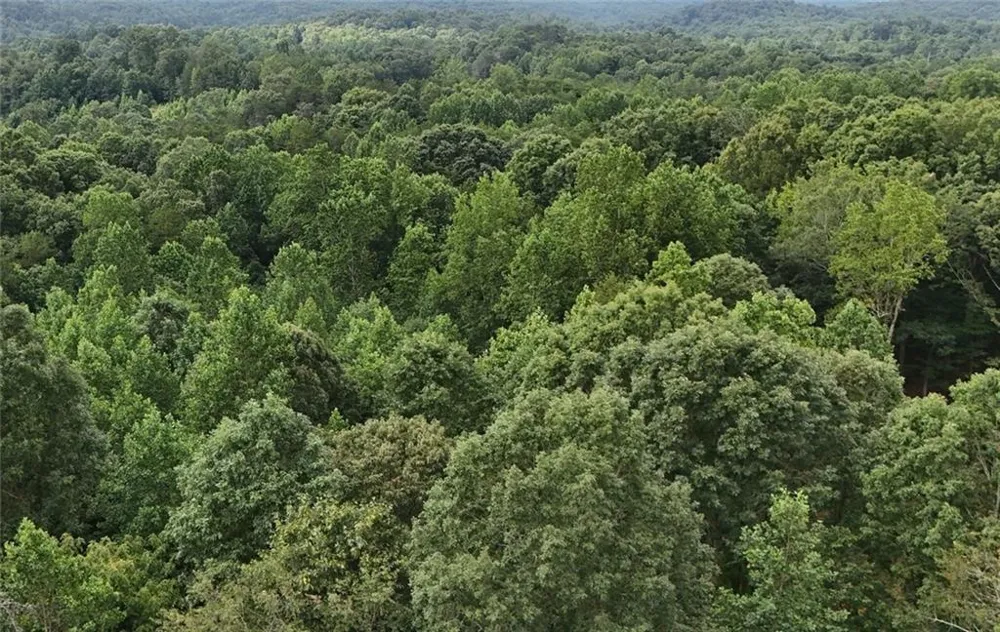 Lot 5 Fowler Creek Drive Cleveland, GA 30528