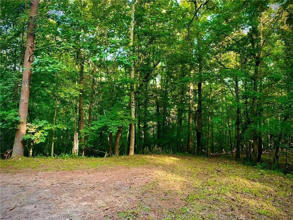 Lot 5 Fowler Creek Drive Cleveland, GA 30528